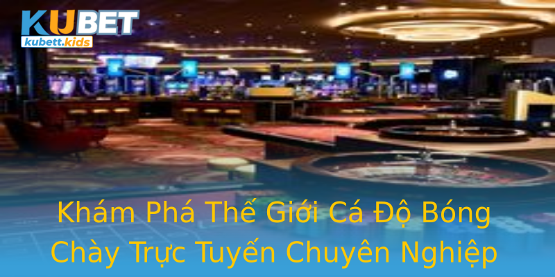 Khám Phá Thế Giới Cá Độ Bóng Chày Trực Tuyến Chuyên Nghiệp Khám Phá Thế Giới Cá Độ Bóng Chày Trực Tuyến Chuyên Nghiệp