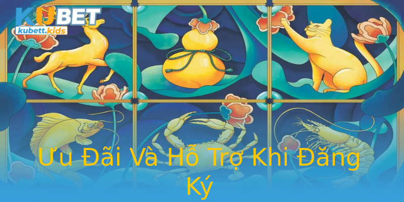 Ưu Đãi Và Hỗ Trợ Khi Đăng Ký Ưu Đãi Và Hỗ Trợ Khi Đăng Ký